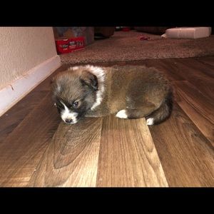 Meet your Posher, Zakiya